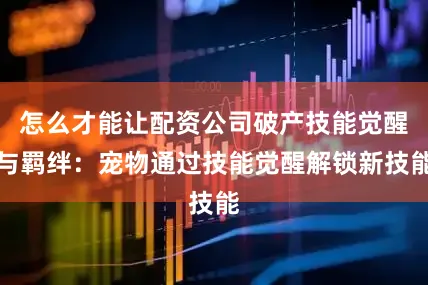 怎么才能让配资公司破产技能觉醒与羁绊：宠物通过技能觉醒解锁新技能